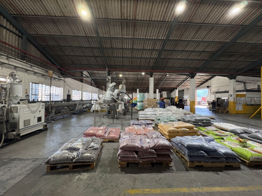 To Let Commercial Property for Rent in Montague Gardens Western Cape